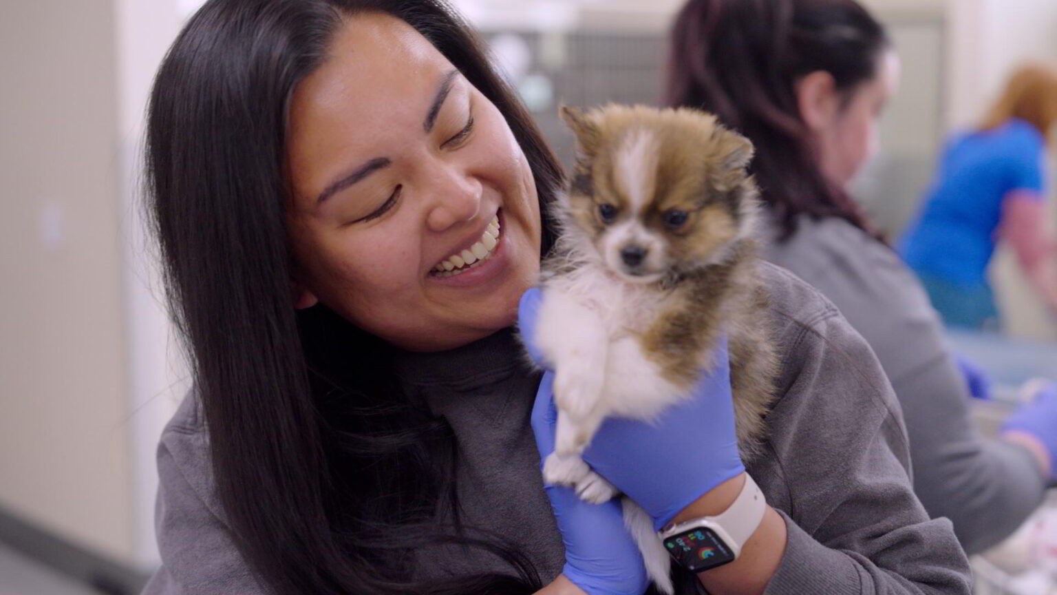 Career Center - Madison Veterinary Specialists